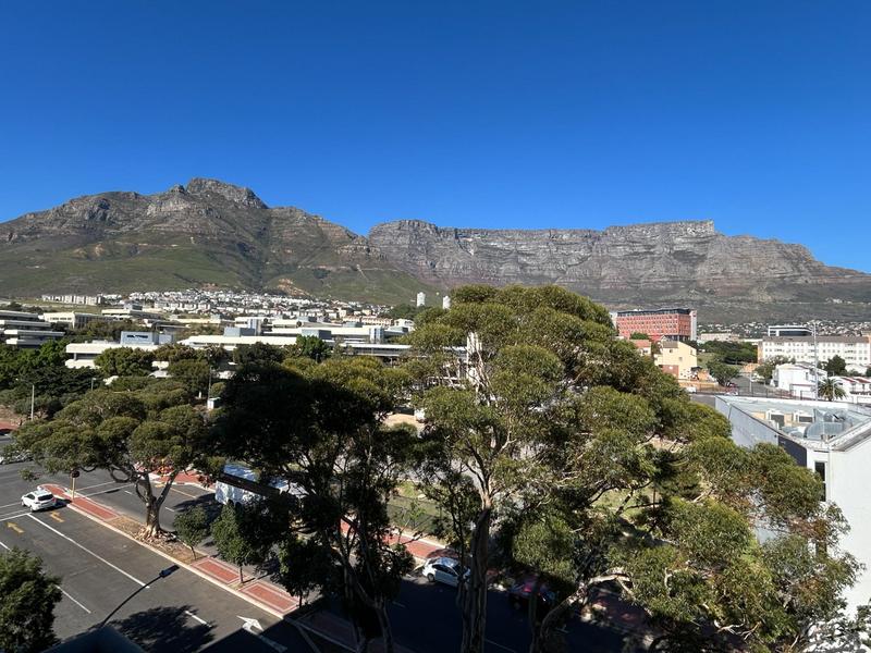 0 Bedroom Property for Sale in Zonnebloem Western Cape